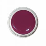 Eva Nails гель-краска «Burgundy» №17 (5 мл.)