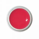 Eva Nails гель-краска «Raspberry» №05 (5 мл.)