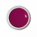 Eva Nails гель-краска «Violet» №16 (5 мл.